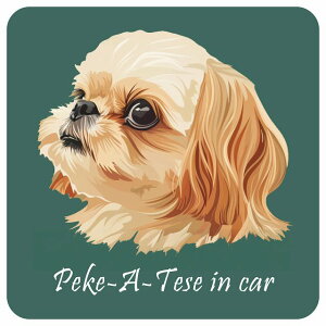 ドッグ カーステッカー イラスト付 Dog in Car マルペキ Bタイプ セーフティサイン 犬種別 正方形 13x13cm シール リア あおり運転対策 Dog Sticker 屋外 屋内 防水 かわいい おしゃれ 安全対策 カーサ