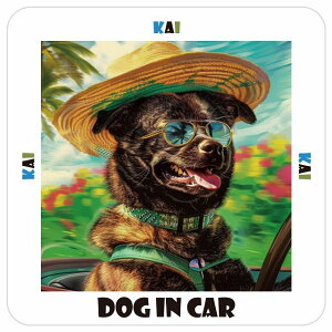 b㌢ Kai  J[XebJ[ V[ DOG IN CAR C Xq TOX  13x13cm ` h O  ԃXebJ[XebJ[    킢 oCN TCXebJ[ 