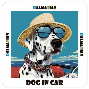_VA Dalmatian  J[XebJ[ V[ DOG IN CAR C Xq TOX  13x13cm ` h O  ԃXebJ[XebJ[    킢 oCN TC