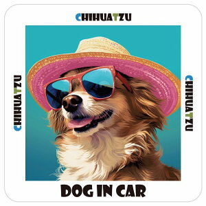 チワズー Chihuatzu 犬 カーステッカー シール DOG IN CAR 海 麦わら帽子 サングラス 夏 13x13cm 正方形 防水 屋外 屋内 車ステッカーステッカー 車 かっこいい おしゃれ かわいい バイク サインステ