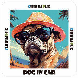 `pO Chihuapug  J[XebJ[ V[ DOG IN CAR C Xq TOX  13x13cm ` h O  ԃXebJ[XebJ[    킢 oCN TCXe