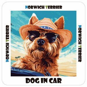 m[b`eA Norwich Terrier  J[XebJ[ V[ DOG IN CAR C Xq TOX  13x13cm ` h O  ԃXebJ[XebJ[    킢 oCN