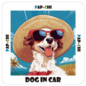 ps` Pap-Chi  J[XebJ[ V[ DOG IN CAR C Xq TOX  13x13cm ` h O  ԃXebJ[XebJ[    킢 oCN TCXeb