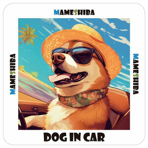  Mameshiba  J[XebJ[ V[ DOG IN CAR C Xq TOX  13x13cm ` h O  ԃXebJ[XebJ[    킢 oCN TCXebJ