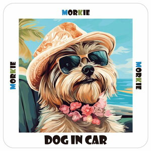 }[L[ Morkie  J[XebJ[ V[ DOG IN CAR C Xq TOX  13x13cm ` h O  ԃXebJ[XebJ[    킢 oCN TCXe