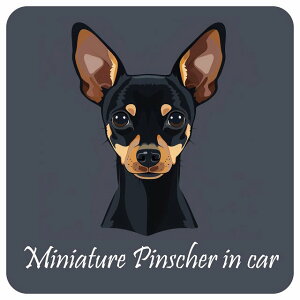 hbO J[XebJ[  CXgt Dog in Car ~j`AsV[ B^Cv Z[teBTC  ` 13x13cm V[ A ^]΍ Dog Sticker O  h 킢  