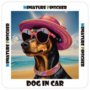 Miniature Pinscher ~j`AsV[ J[XebJ[ V[ DOG IN CAR XebJ[  C Xq TOX  13x13cm ` h O  ԃXebJ[XebJ[   