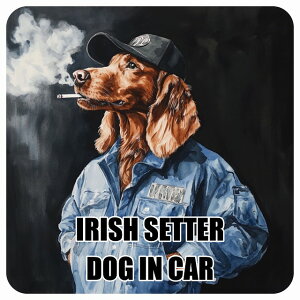 ������� IRISH SETTER �A�C���b�V���Z�b�^�[ DOG IN CAR �J�[�X�e�b�J�[ �V�[�� �� ��ƕ� ���傢�� 13x13cm �����` �h�� ���O ���� �h�b�O�I���{�[�h �f�J�[��