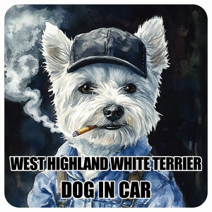  WEST HIGHLAND WHITE TERRIER EGXgnChzCgeA DOG IN CAR J[XebJ[ V[  ƕ 傢 13x13cm ` h O  hbOI{[h fJ[