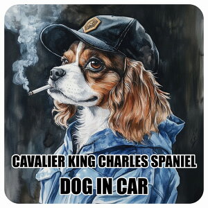  CAVALIER KING CHARLES SPANIEL LoALO`[YXpjG DOG IN CAR J[XebJ[ V[  ƕ 傢 13x13cm ` h O  hbOI{[h fJ[