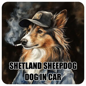  SHETLAND SHEEPDOG VFbghV[vhbO DOG IN CAR J[XebJ[ V[  ƕ 傢 13x13cm ` h O  hbOI{[h fJ[