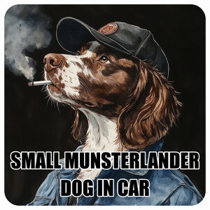  SMALL MUNSTERLANDER X[~X^[_[ DOG IN CAR J[XebJ[ V[  ƕ 傢 13x13cm ` h O  hbOI{[h fJ[