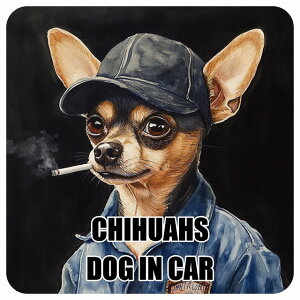  CHIHUAHS `bNX DOG IN CAR J[XebJ[ V[  ƕ 傢 13x13cm ` h O  hbOI{[h fJ[