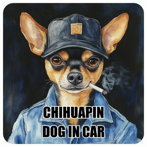  CHIHUAPIN `s DOG IN CAR J[XebJ[ V[  ƕ 傢 13x13cm ` h O  hbOI{[h fJ[