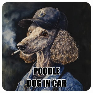  POODLE v[h DOG IN CAR J[XebJ[ V[  ƕ 傢 13x13cm ` h O  hbOI{[h fJ[
