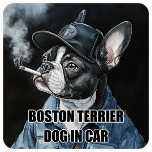 ������� BOSTON TERRIER �{�X�g���e���A DOG IN CAR �J�[�X�e�b�J�[ �V�[�� �� ��ƕ� ���傢�� 13x13cm �����` �h�� ���O ���� �h�b�O�I���{�[�h �f�J�[��