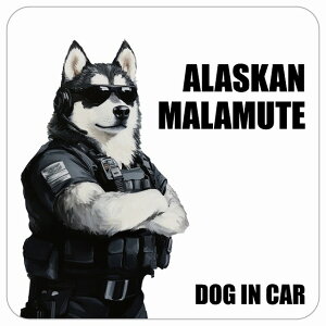  ALASKAN MALAMUTE AXJ}~[g DOG IN CAR J[XebJ[ V[  ZLeBK[h 傢 13x13cm ` h O  hbOI{[h fJ[