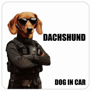  DACHSHUND _bNXtg DOG IN CAR J[XebJ[ V[  ZLeBK[h 傢 13x13cm ` h O  hbOI{[h fJ[