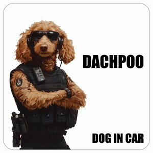  DACHPOO _bv[ DOG IN CAR J[XebJ[ V[  ZLeBK[h 傢 13x13cm ` h O  hbOI{[h fJ[