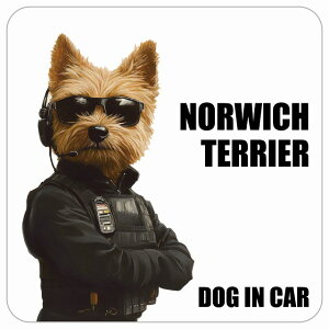  NORWICH TERRIER m[b`eA DOG IN CAR J[XebJ[ V[  ZLeBK[h 傢 13x13cm ` h O  hbOI{[h fJ[