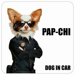  PAP-CHI ps` DOG IN CAR J[XebJ[ V[  ZLeBK[h 傢 13x13cm ` h O  hbOI{[h fJ[