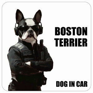 ������� BOSTON TERRIER �{�X�g���e���A DOG IN CAR �J�[�X�e�b�J�[ �V�[�� �� �Z�L�����e�B�K�[�h�� ���傢�� 13x13cm �����` �h�� ���O ���� �h�b�O�I���{�[�h �f�J�[��