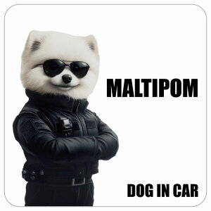  MALTIPOM |} DOG IN CAR J[XebJ[ V[  ZLeBK[h 傢 13x13cm ` h O  hbOI{[h fJ[