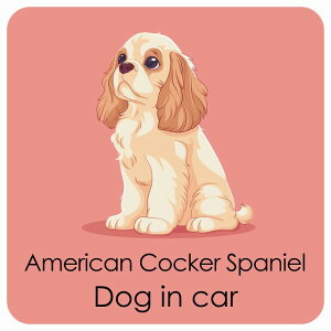  American Cocker Spaniel AJRbJ[XpjG DOG IN CAR J[XebJ[ V[  pXe ݃J[ X^C Aj 13x13cm ` h O  hbOI{[h fJ