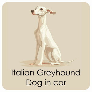  Italian Greyhound C^AO[nEh DOG IN CAR J[XebJ[ V[  pXe ݃J[ X^C Aj 13x13cm ` h O  hbOI{[h fJ[