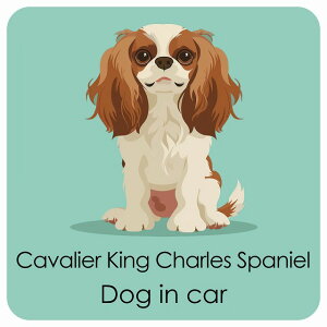  Cavalier King Charles Spaniel LoALO`[YXpjG DOG IN CAR J[XebJ[ V[  pXe ݃J[ X^C Aj 13x13cm ` h O  hbOI