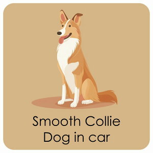  Smooth Collie X[XR[ DOG IN CAR J[XebJ[ V[  pXe ݃J[ X^C Aj 13x13cm ` h O  hbOI{[h fJ[