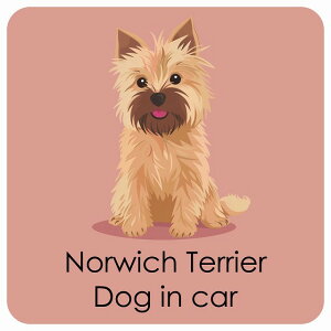  Norwich Terrier m[b`eA DOG IN CAR J[XebJ[ V[  pXe ݃J[ X^C Aj 13x13cm ` h O  hbOI{[h fJ[