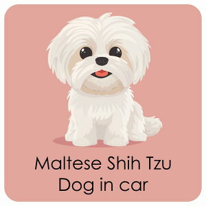  Maltese Shih Tzu }V[Y[ DOG IN CAR J[XebJ[ V[  pXe ݃J[ X^C Aj 13x13cm ` h O  hbOI{[h fJ[