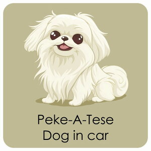  Peke-A-Tese }yL DOG IN CAR J[XebJ[ V[  pXe ݃J[ X^C Aj 13x13cm ` h O  hbOI{[h fJ[