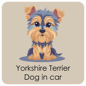  Yorkshire Terrier [NVeA DOG IN CAR J[XebJ[ V[  pXe ݃J[ X^C Aj 13x13cm ` h O  hbOI{[h fJ[