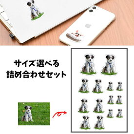 【写真切り抜き】オーダーメイドステッカー 耐水 屋外対応｜うちの子 ペット 赤ちゃん 子供 愛犬 愛猫 誕生日 プレゼント ギフト メモリアル スマホ 車 オリジナル