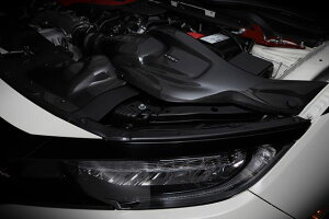 BLITZ J[{Ce[NVXe VrbN^CvR FK8 z_y27023z ubc CARBON INTAKE SYSTEM