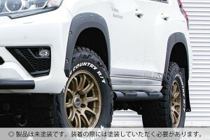 JAOS tF_[K[jbV type-X hi vh 150n yB135066NPz/ FENDER GARNISH TYPE-X 9MM LC150 PRADO 13+ UNPAINTED