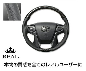 REAL(A) XeAO NE C(210n) {J[{{vU[(bhJ[{) KObv / nh steering