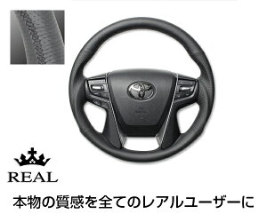 REAL(A) XeAO NE AX[g(210n) S{vU[ KObv / nh steering