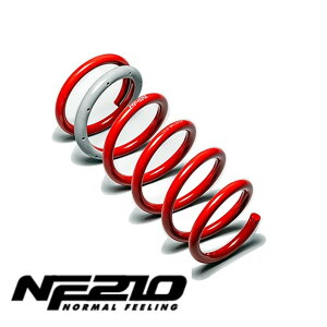 TANABE ^ix MXPC10GNK VG^ MXPC10 NF210 KIT XvO SPRING
