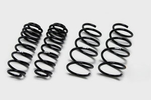 TOMS gX NTX ES AXZH10p RtH[g[_EXvO 300h i48130-TAH10