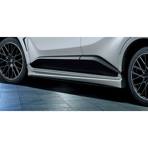 TRD TChXJ[g(h) C-HR NGX#0 ZYX11 / MS344-10006-NP