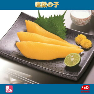 I̎qiMtgpϔj@@500g@yz