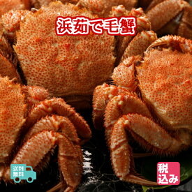 【送料無料】北海道産　浜茹　毛蟹　3ハイ（約1.2kg）上級堅蟹（カタガニ）のみをクール便で送付！！