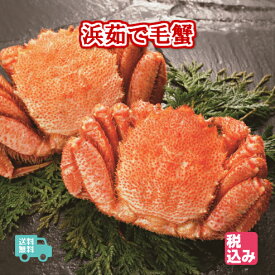 北海道産　浜茹　毛蟹　2ハイ（約880g）上級堅蟹（カタガニ）のみをクール便で送付！！【送料無料】