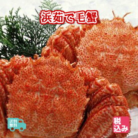 北海道産　浜茹　毛蟹　2ハイ（約1.1kg）上級堅蟹（カタガニ）のみをクール便で送付！！【送料無料】