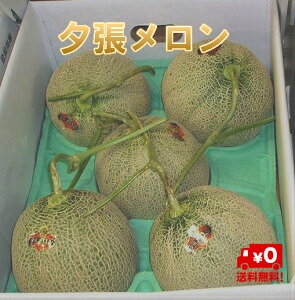 �y�\��̔��z�k�C�����Y ����@�[���������@�D�i�@5�ʁi��8.0kg�jJA�[���s���ւ�k�C���̉Ă��\������Y�i�y���������z�y�������M�t�gNO1�z