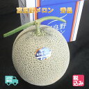 【予約販売】北海道 ふらの産　富良野メロン　秀品1玉　1．6kg　高糖度　富良野産レッドメロンの逸品【7月中旬発送開始】【送料無料】