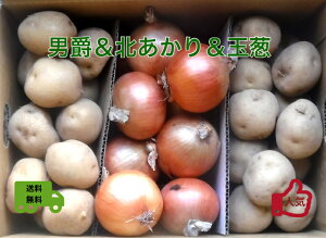 y\̔zjZRYj+kiLMe2kgj+ʔKL3kg@H̖oNO1yz